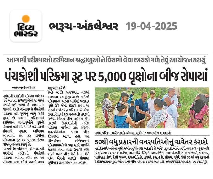 🌾 બીજ રોપણ – પ્રકૃતિને પાછું આપવાનો સરળ માર્ગ